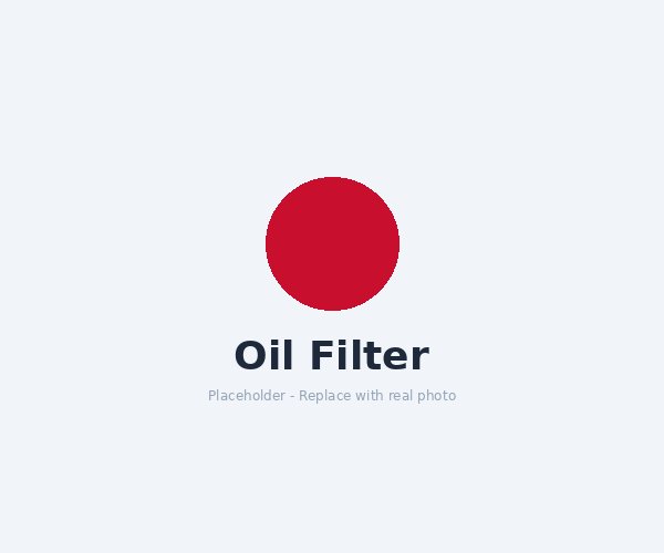 Oil Filter - Pack of 3