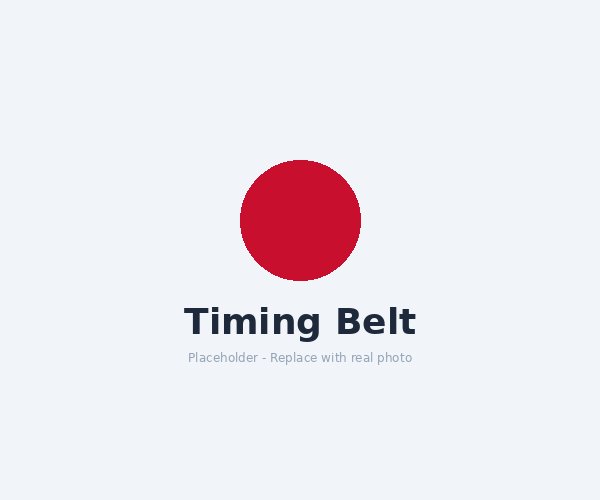 Timing Belt Kit